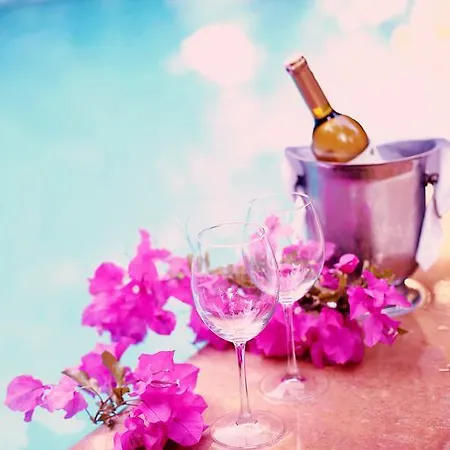 호텔 Paradise Garden 3*