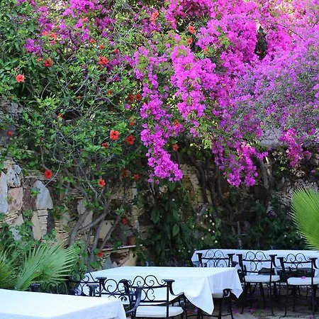 호텔 Paradise Garden 올루데니스