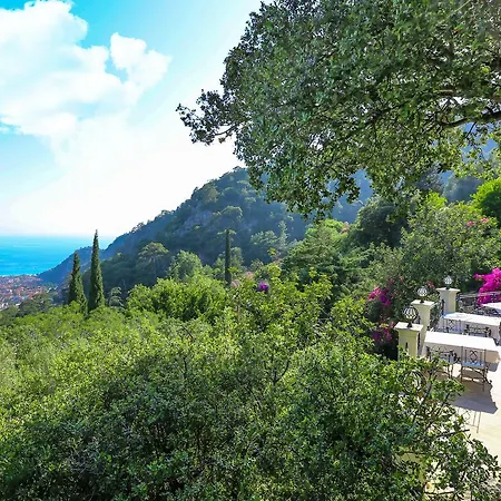 Paradise Garden