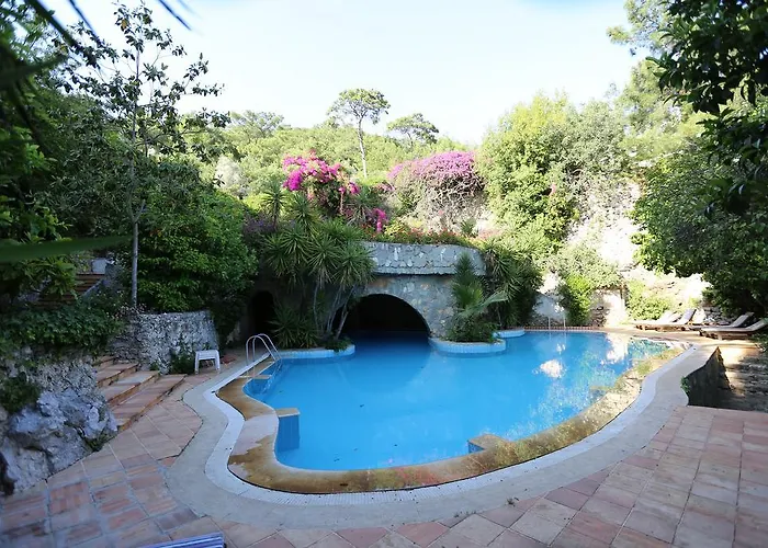 Paradise Garden 3*
