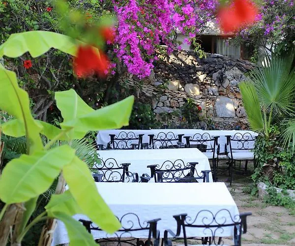 Hotel Paradise Garden 3*