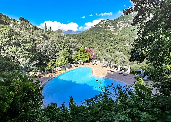 Paradise Garden