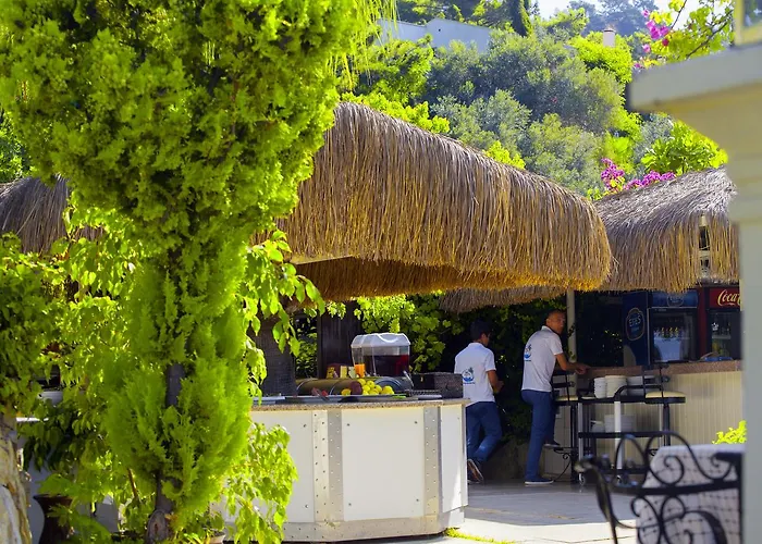 Paradise Garden 3*