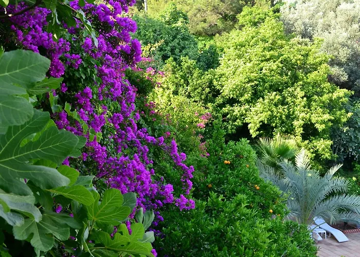 Hotel Paradise Garden Ölüdeniz
