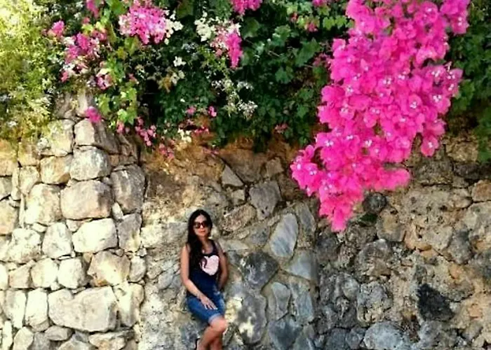 Paradise Garden