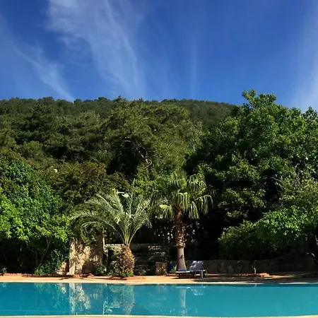 Hotel Paradise Garden 3*