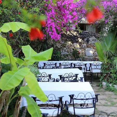 Hotel Paradise Garden 3*