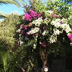 Hotel Paradise Garden 3*