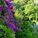 Hotel Paradise Garden Oludeniz