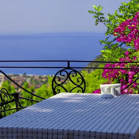Paradise Garden