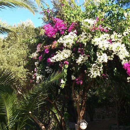 מלון Paradise Garden 3*