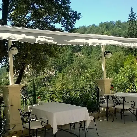 Paradise Garden מלון