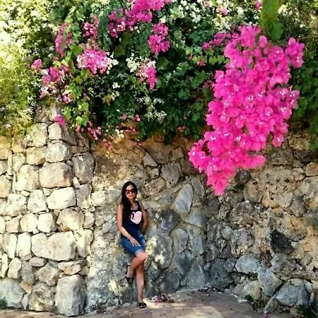 Paradise Garden
