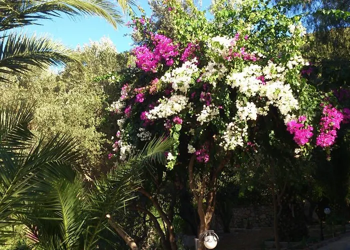 מלון Paradise Garden 3*