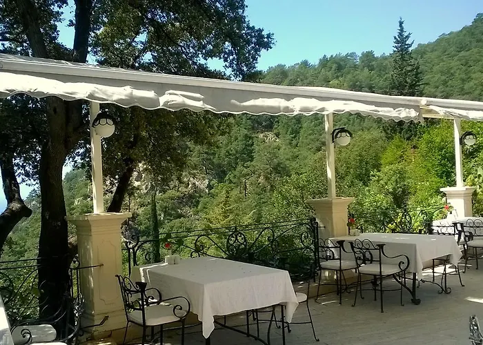 Paradise Garden מלון