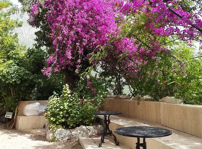 Paradise Garden 3* אולודניץ