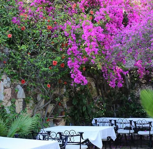 Hotel Paradise Garden Ölüdeniz